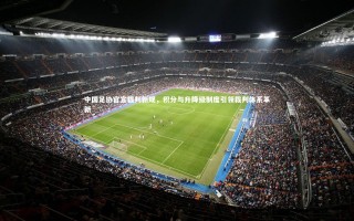 星空体育|中国足协官宣裁判新规，积分与升降级制度引领裁判体系革新